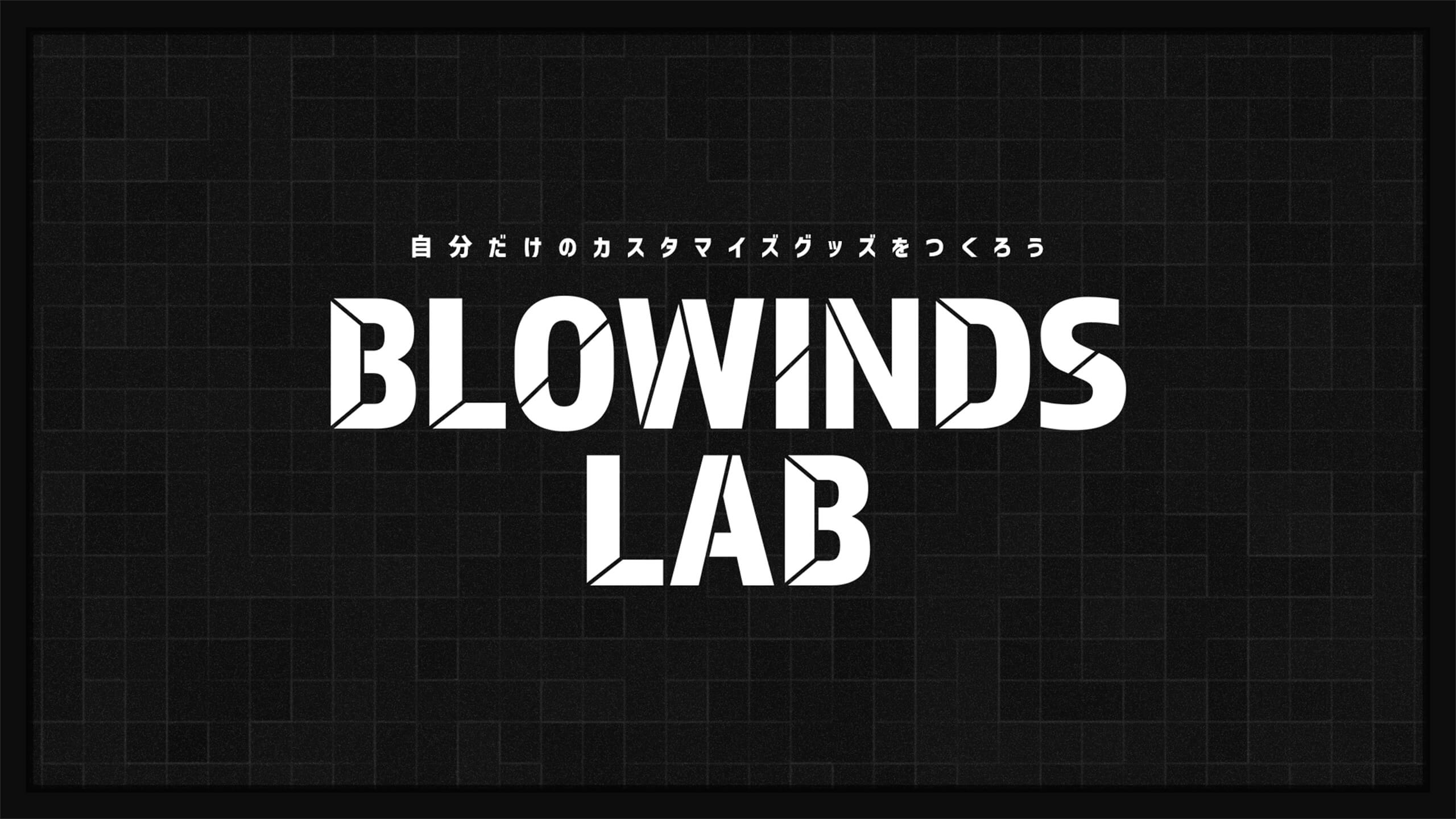 BLOWINDS LAB