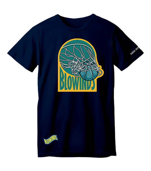 BLOWINDS LAB